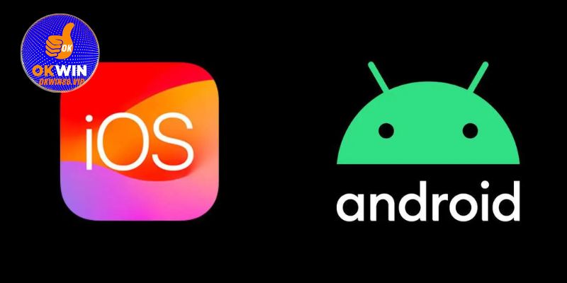 Quy trình tải app Kuwin nhanh gọn trên cả hai hệ điều
